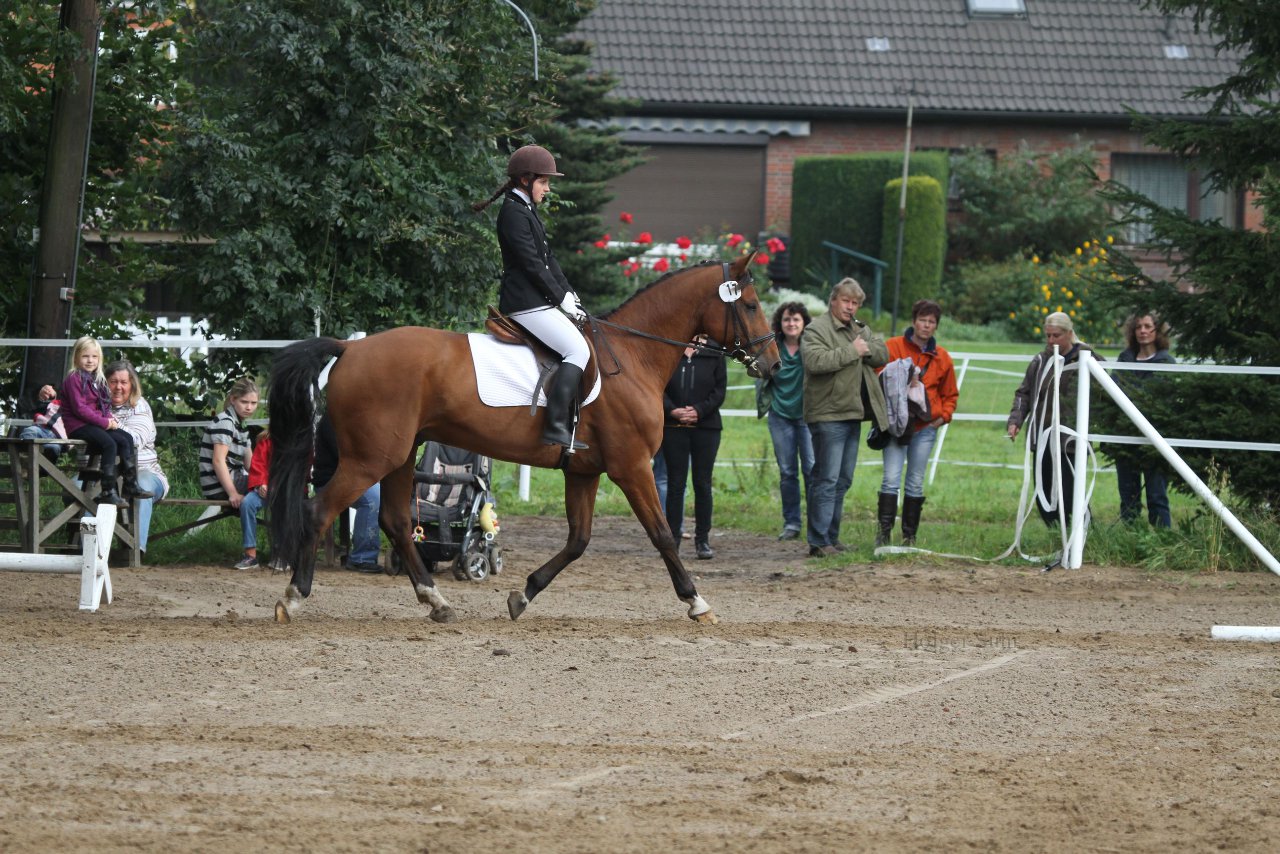 Bild 185 - WBO-Turnier am 18.9.11